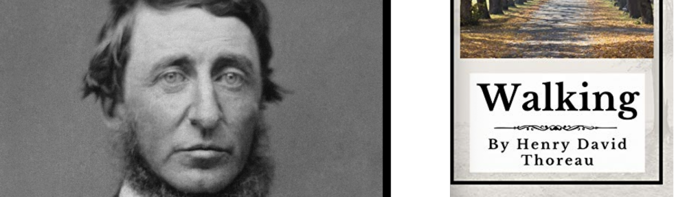 ECL 510: Readings in 19th C. American Literature