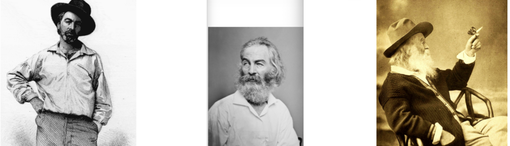 ECL 510: Readings in 19th C. American Literature